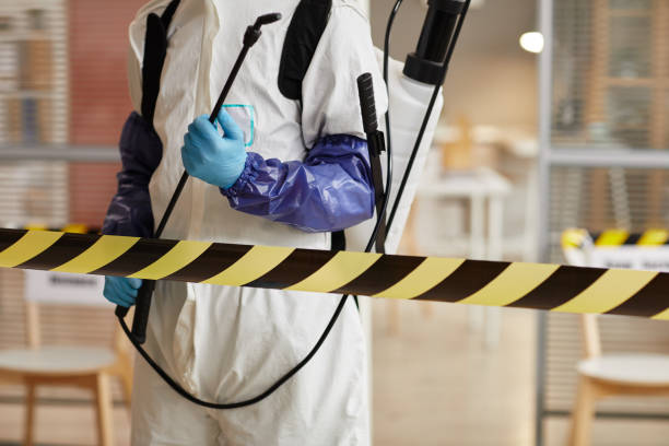Professional Sewage Cleanup technician working in Alma, NE